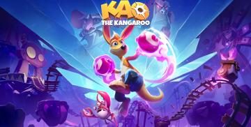 Kao the Kangaroo (Nintendo Switch)