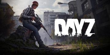 DayZ (PC)